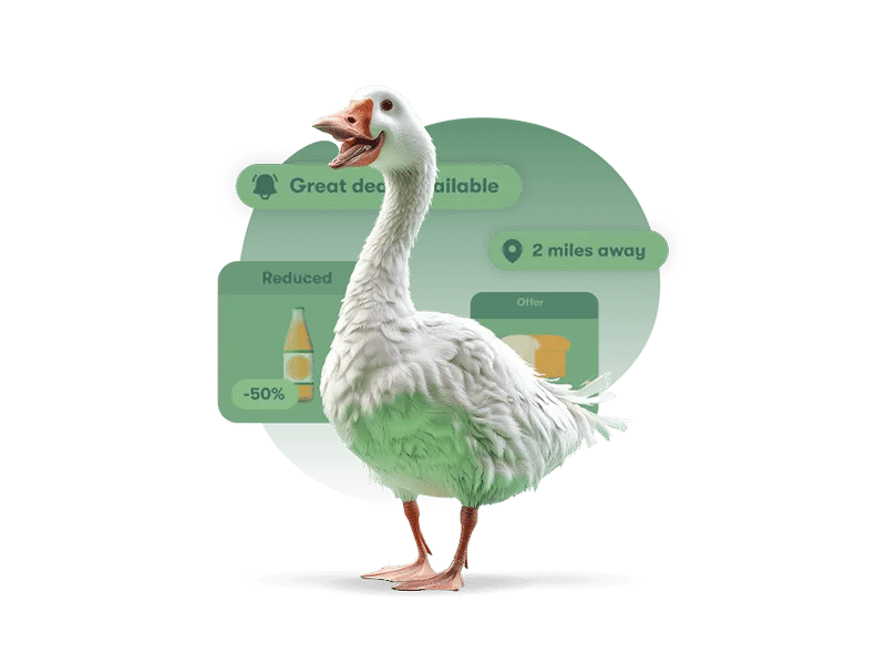 gander integration image on different devices